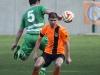 skou_vipava_foto primoz brecelj (3)