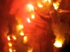 IMG_5978