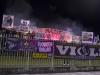 viole 2
