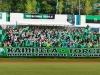 TZP_2679