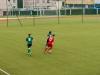 TZP_2741