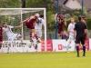 zupanziga_20140517_1543