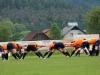 Vels_Ankaran_2014 (3)