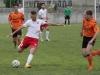 IMG_5134 copy