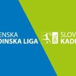 SML/SKL: Mladinci Interblocka Domžalčanom zadali prvi poraz