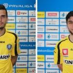 Romun in Čeh med celjskimi grofi