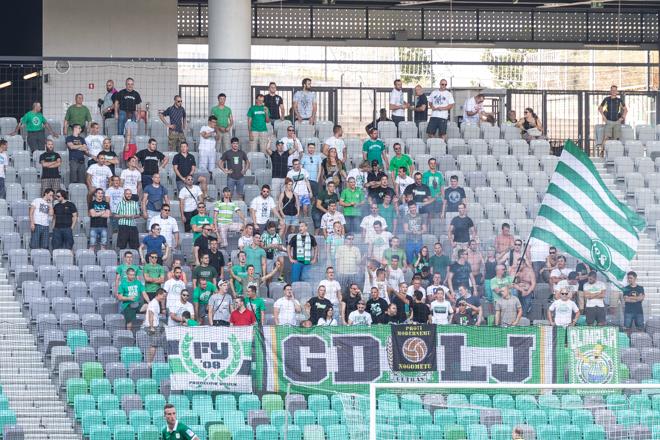 V Maribor se bo odpravila tudi številčna zasedba Green Dragonsov. (Foto: Jure Banfi)