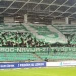 Green Dragons z navijanjem navdušili tudi Milana Mandarića