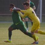 FOTO: Olimpija tudi s pomočjo dveh avtogolov napolnila mrežo Radomelj