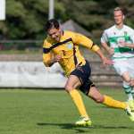 Apatič se je vrnil domov