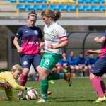 Ajdovke z novim, a dobro znanim imenom