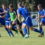 Lahko Drava prekine serijo Triglava?