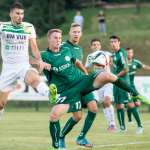 Krka ostala brez Kastrevca