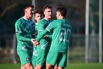 Olimpija proti Radomljanom do vseh treh točk
