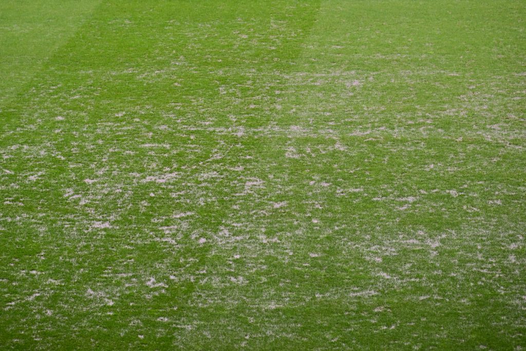 Tudi Švicarji imajo težave z zelenico! Pred Slovenijo morali v Luzernu menjati dele igrišča