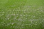 Tudi Švicarji imajo težave z zelenico! Pred Slovenijo morali v Luzernu menjati dele igrišča Tudi Švicarji imajo težave z zelenico! Pred Slovenijo morali v Luzernu menjati dele igrišča
