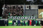izpadli Maribor, Olimpija, Mura, Koper, Nafta in Aluminij izpadli Maribor, Olimpija, Mura, Koper, Nafta in Aluminij